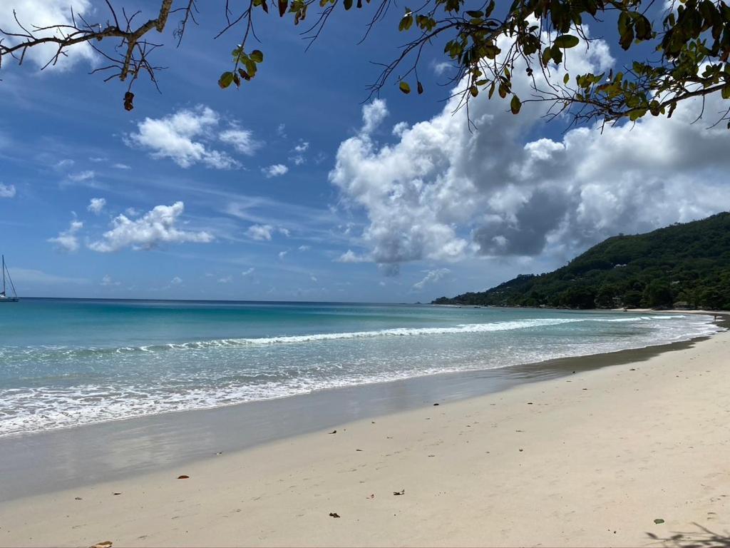 Beau Bamboo Lejlighed Beau Vallon  Eksteriør billede